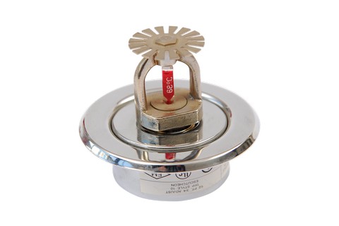 Awesome Gallery Image